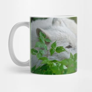 Arctic Wolves Mug